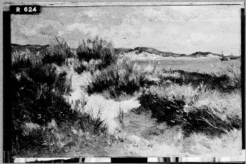 Duinen en zee, 1850, Johannes Hubertus Leonardus de