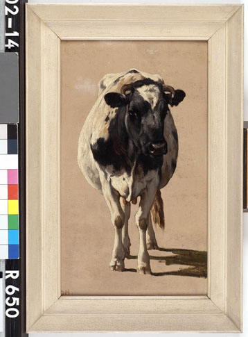 Studie van een koe, 1850, Johannes Hubertus Leonardus de