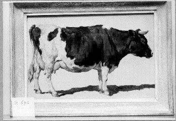 Studie van een koe, 1850, Johannes Hubertus Leonardus de