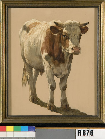 Studie van een jonge stier, 1850, Johannes Hubertus Leonardus de