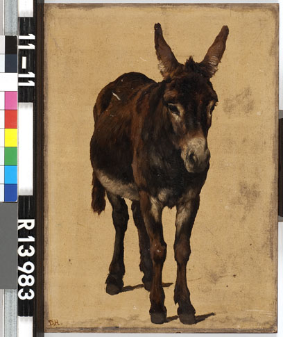 Studie van een ezel, 1877, Johannes Hubertus Leonardus de