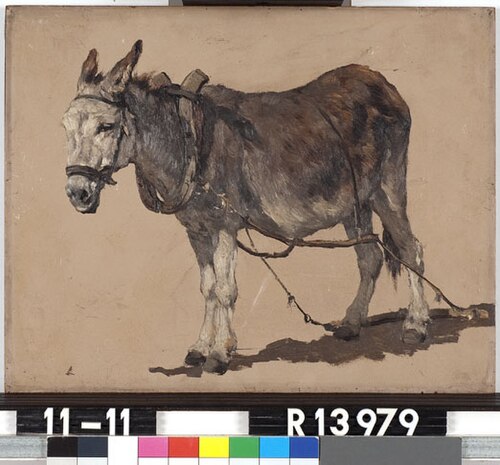 Studie van een ezel, 1877, Johannes Hubertus Leonardus de