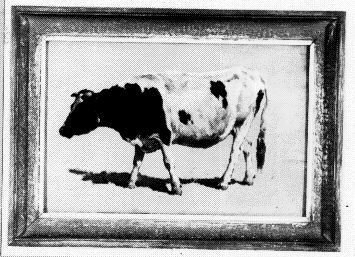 Studie van een stier, 1850, Johannes Hubertus Leonardus de