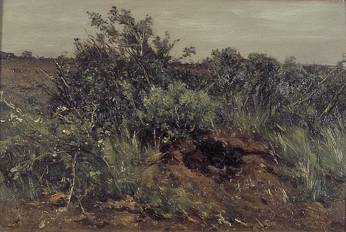 Struiken in weide, 1850, Johannes Hubertus Leonardus de