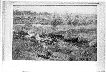 Moerasachtig landschap, 1850, Johannes Hubertus Leonardus de