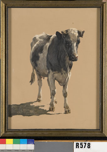 Studie van een koe, 1850, Johannes Hubertus Leonardus de