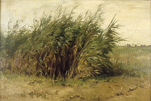 Riet, 1850, Johannes Hubertus Leonardus de