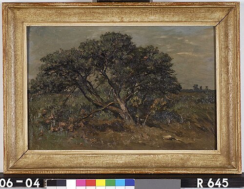 Een boom, 1850, Johannes Hubertus Leonardus de