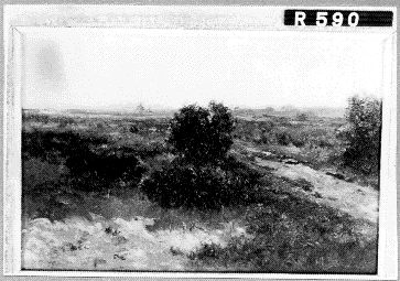 Landschap met landweg en struiken, 1850, Johannes Hubertus Leonardus de