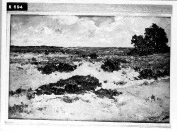 Duinlandschap, 1850, Johannes Hubertus Leonardus de