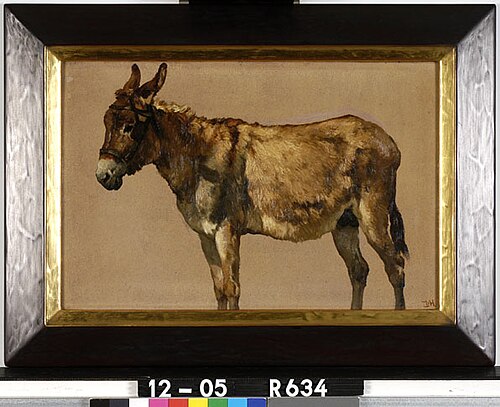 Studie van een ezel, 1850, Johannes Hubertus Leonardus de