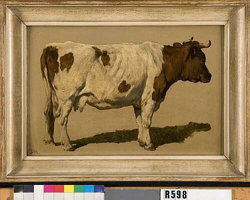 Studie van een koe, 1850, Johannes Hubertus Leonardus de