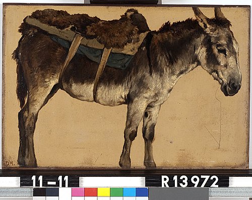 Studie van een ezel, 1877, Johannes Hubertus Leonardus de