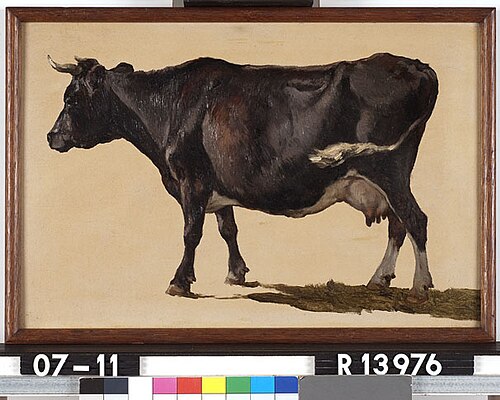 Studie van een zwartbonte koe, 1877, Johannes Hubertus Leonardus de