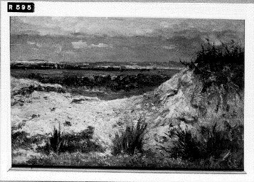 Duinlandschap, 1850, Johannes Hubertus Leonardus de