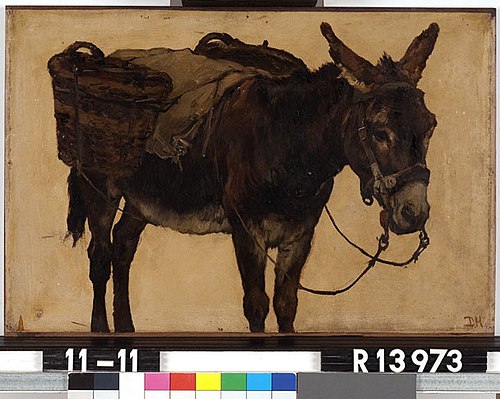 Studie van een ezel, 1877, Johannes Hubertus Leonardus de