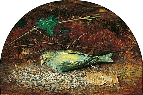 A Dead Linnet, 1862, John Atkinson Grimshaw
