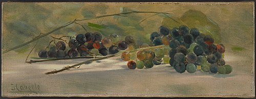 Grapes on a Ledge, 1895, John Haberle
