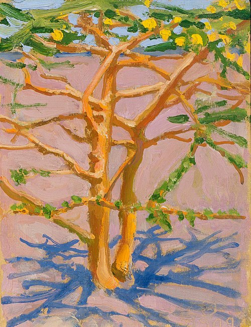 Acacia on the Savannah, 1909, Akseli Gallen-Kallela