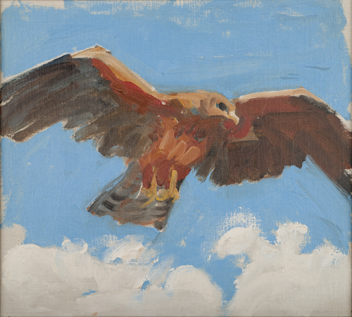 Falcon, 1909, Akseli Gallen-Kallela