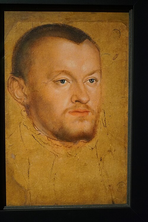 Porträt eines unbekannten Mannes, 1550, Lucas Cranach le Jeune
