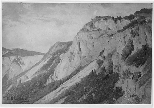 Felsabhang, 1905, Josef Willroider