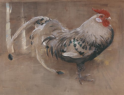 The Spangled Cock, 1903, Joseph Crawhall III