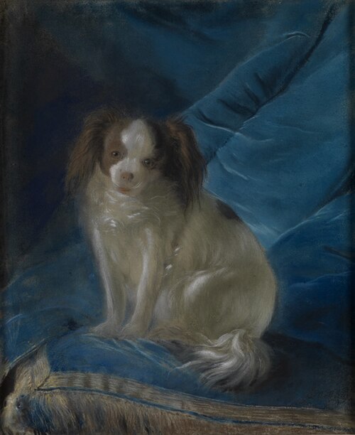 Bellamina, Schoßhündchen der Markgräfin Karoline Luise von Baden, , Joseph Melling