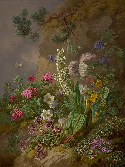 Alpine Flowers, 1876, Joseph Schuster