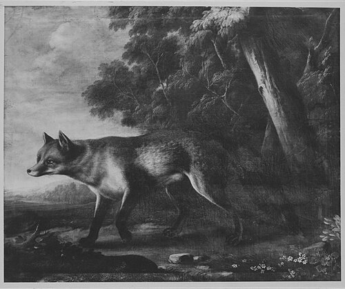 Silberfuchs, 1747, Joseph Stephan