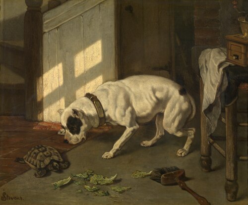 Dog with Tortoise, 1856, Joseph Stevens