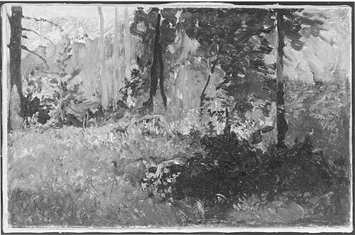 Waldinneres, 1895, Joseph Wenglein
