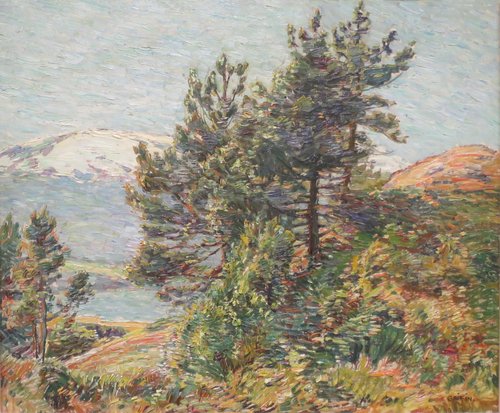Norway Pines Landscape, 1911, Walter Griffin