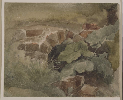 Study of Foliage, 1817, David Cox Jr.