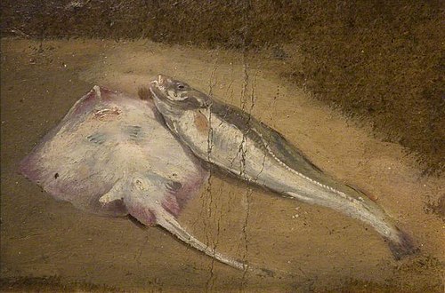 Skate and Cod, 1840, David Cox Jr.
