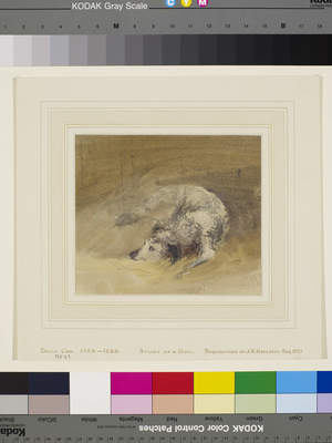 Study of a Dog, , David Cox Jr.