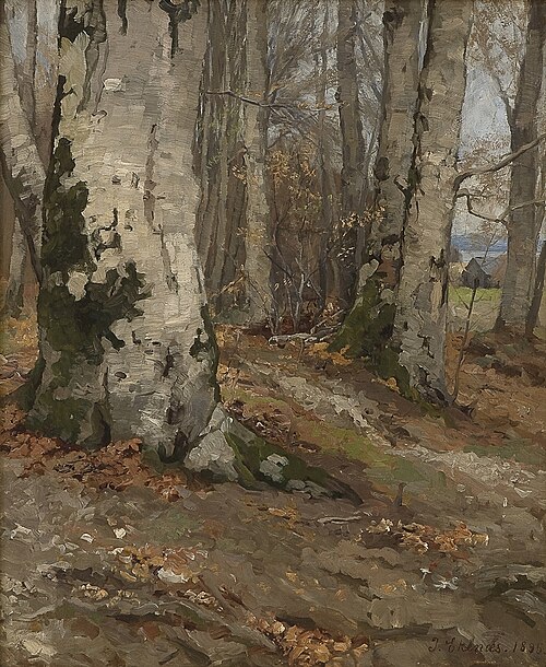 Skogsinteriør med bøk, 1895, Jahn Ekenaes