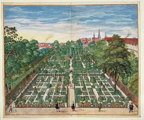 Horti Anckelmanniani - Anckelmann garden, 1669, Hans Simon Holtzbecker