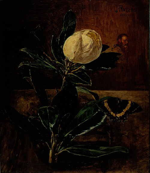 The Magnolia, 1900, Julio Ruelas