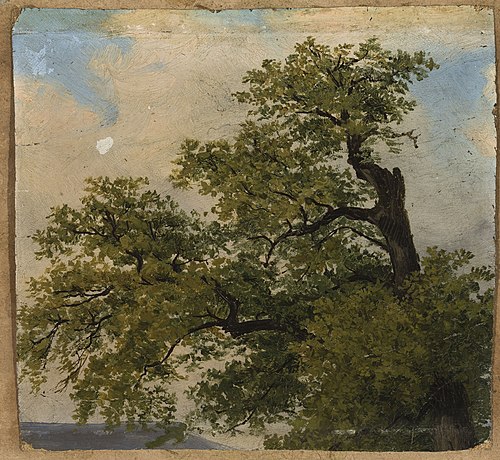 Trees, , Julius Schoppe