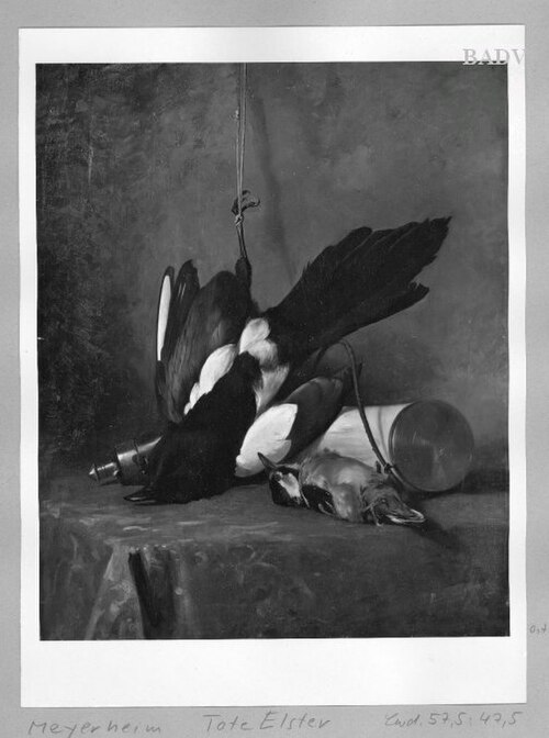 still-life-dead birds, 1863, Paul Friedrich Meyerheim
