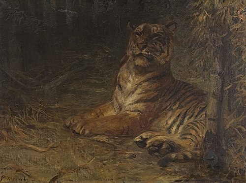 Liegender Tiger im Dschungel, 1906, Paul Friedrich Meyerheim
