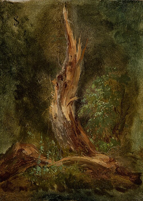 Volhynian Forest, , Joseph Szermentowski