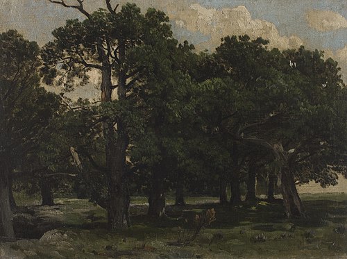 Pines, , Joseph Szermentowski