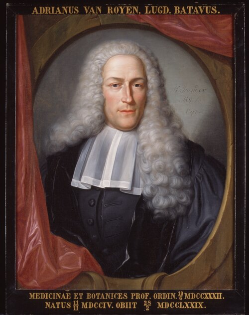 Portret van Adriaan van Royen, hoogleraar Kruidkunde en Geneeskunde te Leiden, 1736, Hieronymus van der Mij