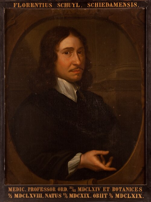 Portret van Florentius Schuyl, hoogleraar Geneeskunde te Leiden, prefect van de Hortus, 1601, Hieronymus van der Mij