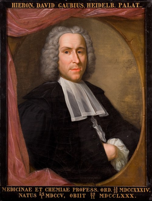 Portret van Hieronymus David Gaubius, hoogleraar Scheikunde en Geneeskunde te Leiden, 1741, Hieronymus van der Mij