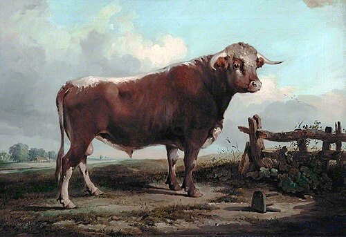 The Staffordshire Bull, , Thomas Peploe Wood