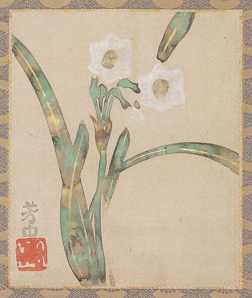Narcissus, , Nakamura Hochu