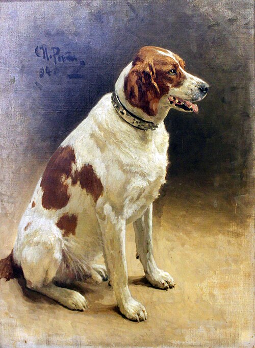Dog (study), 1894, Ilia Répine